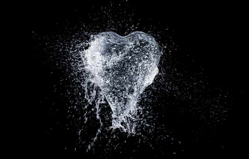 radical flexibility the heart of organizations